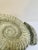 Large Ammonite Shaped Vase, 1980s For Sale - Image 9 of 10
