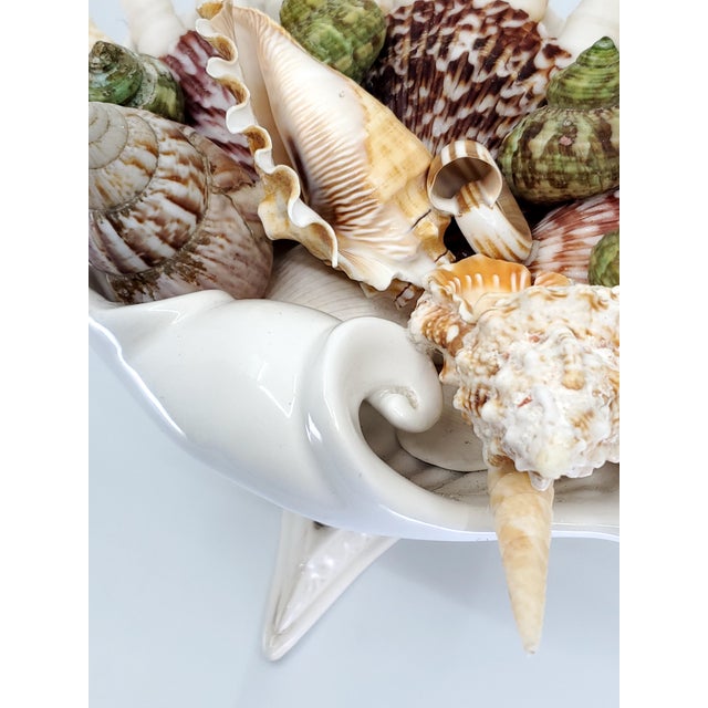 Bowl Seashells Shells For Sale - Image 12 of 14