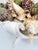 Bowl Seashells Shells For Sale - Image 12 of 14
