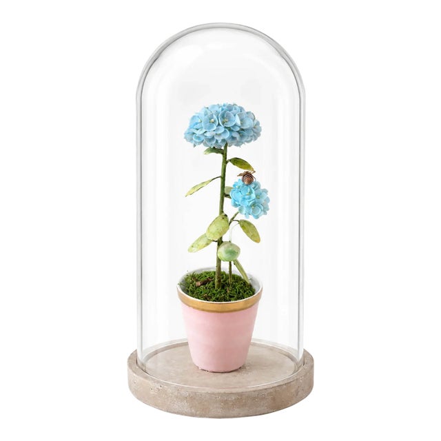 Blue Hydrangea - Pink Pot For Sale