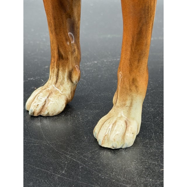 Boxer Dog in Porcelain from Goebel, Germany, 1973 For Sale - Image 11 of 12