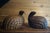 A very handsome carved wood quail pair which can have a host of uses or simply a striking presence. When I found these at...