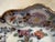Imari Style English 19th Century Plate For Sale - Image 10 of 14