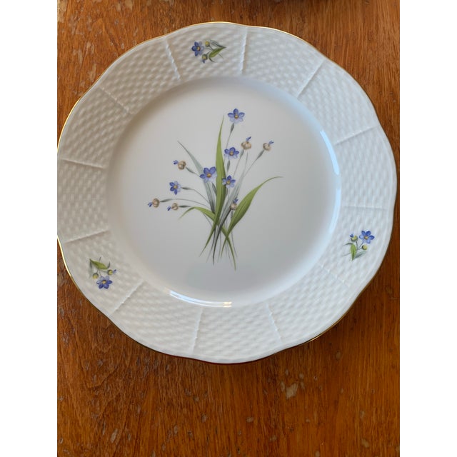 White Late 20th Century Herend Flowers of Bermuda Plates Rose , Hibscus, Bougainvilla, Bermudiana Handpainted - Set of Four For Sale - Image 8 of 8