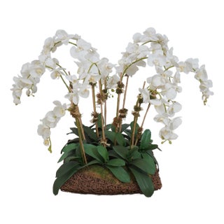 Large Silk Flower Mother Orchid in Woven Basket For Sale