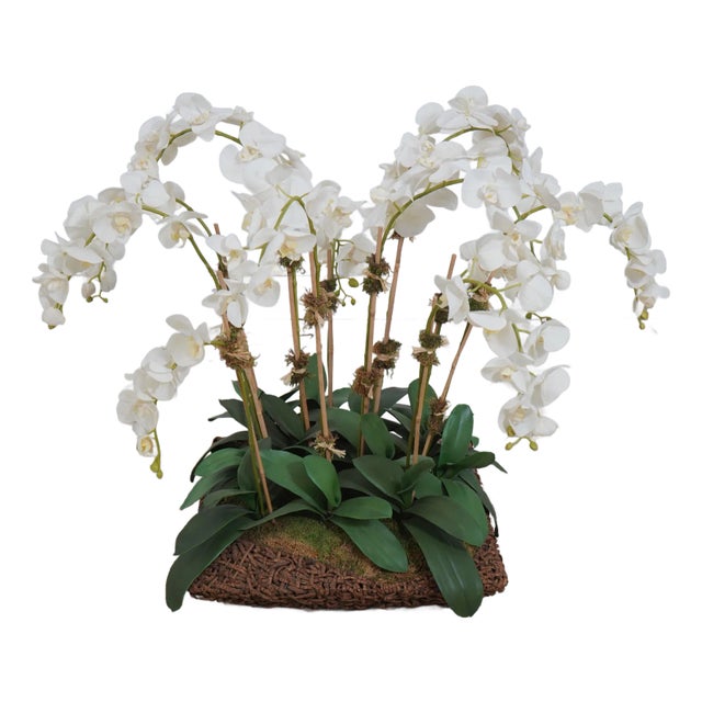 Large Silk Flower Mother Orchid in Woven Basket For Sale