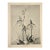 1902 Antique French Botanical Photograph Lithograph, Orchid, With Documentation For Sale