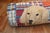American Early 21st Century Rare Room Size Large Dog American Hooked Rug - 10' x 11'9" For Sale - Image 3 of 18