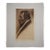 Edward S. Curtis "Snoqualmu Type" Photogravure on Gampi Tissue, 1913 — Cardozo Collection For Sale