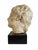 Early 20th Century Early 20th Century Weathered Classical Fragment Bust For Sale - Image 5 of 5