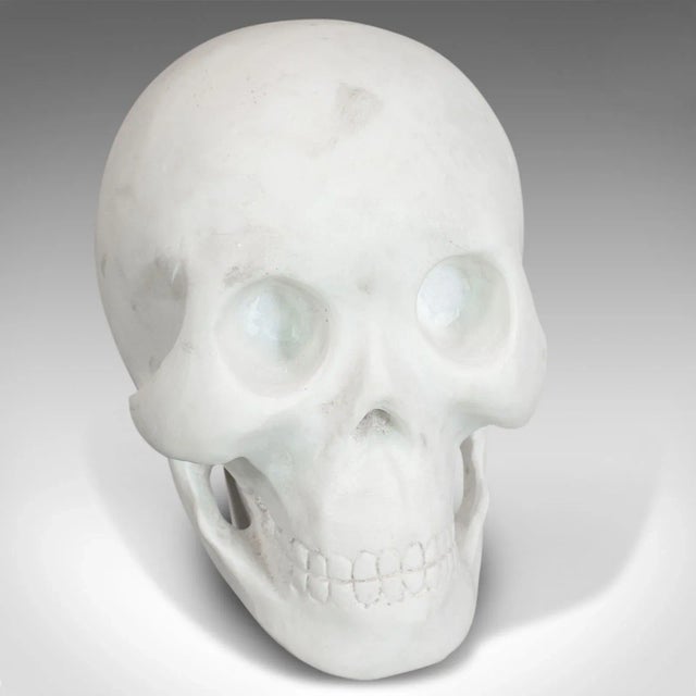 White 20th Century Marble Decorative Ornamental Skull For Sale - Image 8 of 11