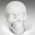 White 20th Century Marble Decorative Ornamental Skull For Sale - Image 8 of 11