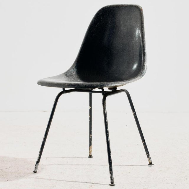 Charles and Ray Eames created iconic pieces of the 20th century. Their versatility is further evidenced by the fact that...