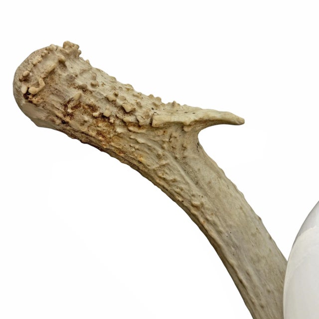 Deer Antler Lamp For Sale - Image 11 of 12