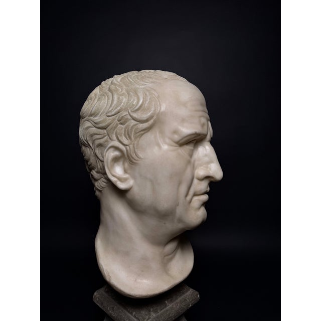 Head of Marcus Tullius Cicero, Late 18th Century, Marble For Sale - Image 12 of 18