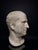 Head of Marcus Tullius Cicero, Late 18th Century, Marble For Sale - Image 12 of 18