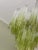 Green Ombre Murano Glass Chandeliers, Set of 2 For Sale - Image 5 of 12