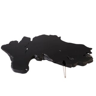 Organic Modern Black Teak Root Living Edge Coffee Table For Sale