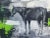 Realism “Horse Afield” Expressive Painting by Joseph Christy For Sale - Image 3 of 6