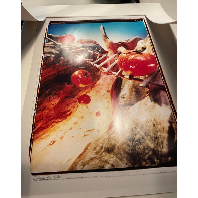 1999 Pop Art Tomatoes Color Photograph For Sale - Image 6 of 7