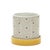 Kenneth Ludwig Chicago Stone Bumble Bee Striped Planter with Plate (Set of 2) For Sale - Image 4 of 5