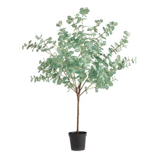 Eucalyptus Tree Drop-In 49" For Sale