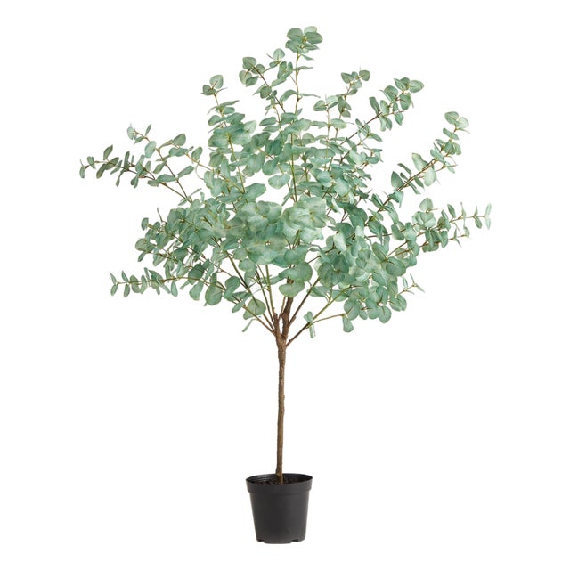 Eucalyptus Tree Drop-In 49" For Sale