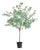 Eucalyptus Tree Drop-In 49" For Sale