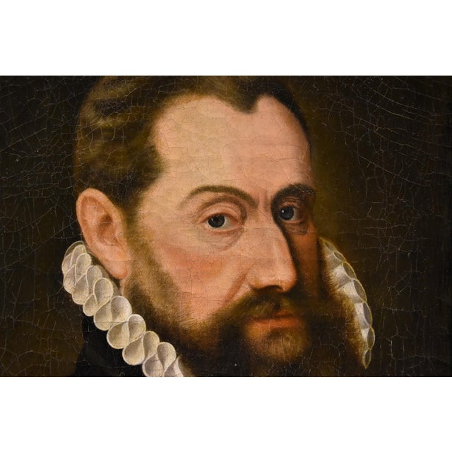 16th Century Circle of Frans Pourbus, Portrait of a Man, 1570, Oil on Canvas For Sale - Image 5 of 12
