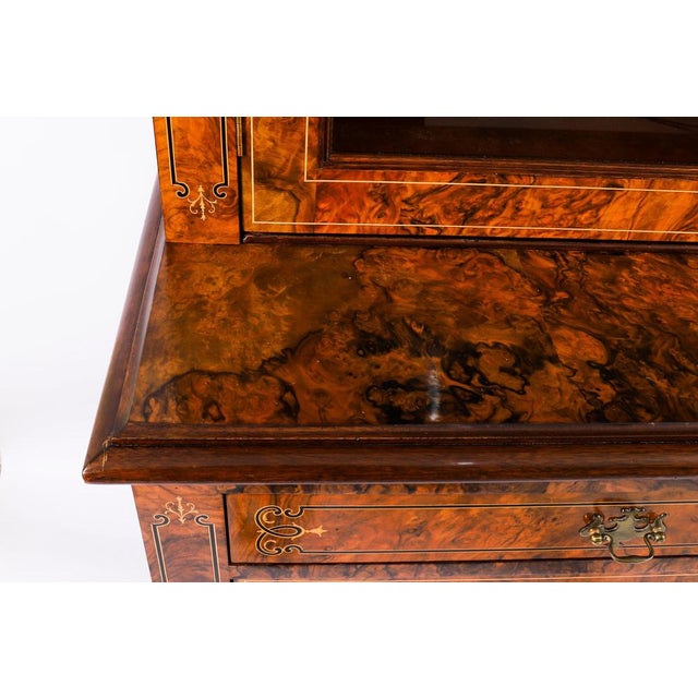 Antique Victorian Burr Walnut and Inlaid Bookcase, 1800s For Sale - Image 13 of 18