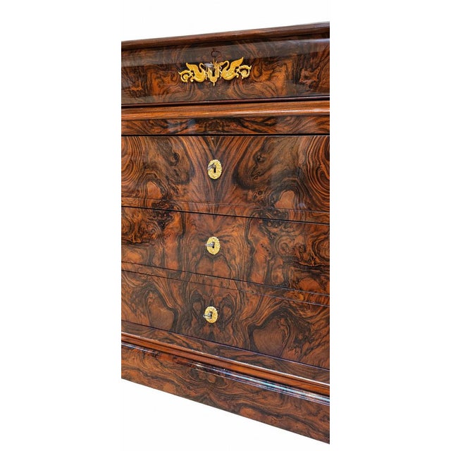 Mid 19th Century Louis Philippe Chest of Drawers in Burr Walnut, 1840s For Sale - Image 5 of 16
