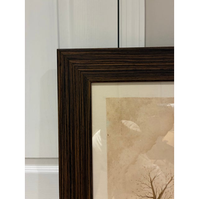 Natural Curiosities “Tubularia Ramea” Large Coral Tree Natural History Print, For Sale In Charlotte - Image 6 of 7