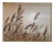 Vintage Large Lee Reynolds Boho Bohemian Coastal Landscape Painting, Signed Framed For Sale