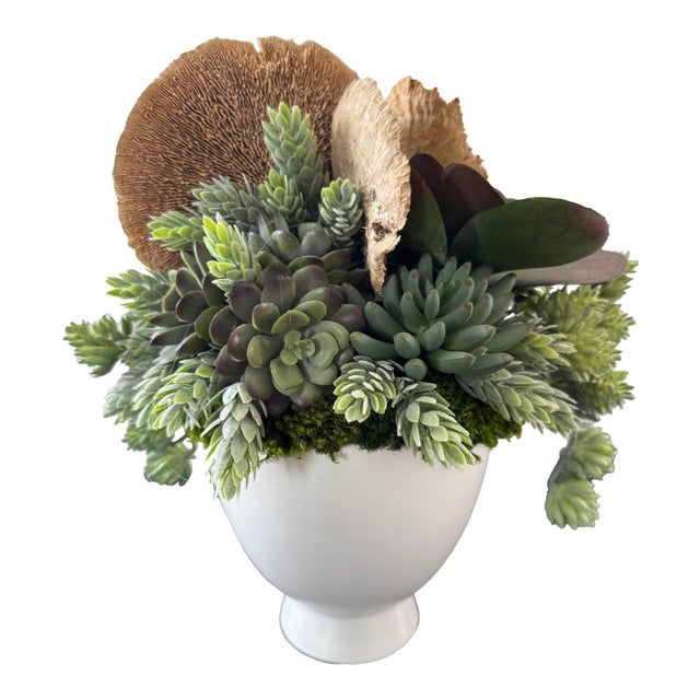 Organic Faux Succulent Arrangement in White Ceramic Pedestal Vessel For Sale