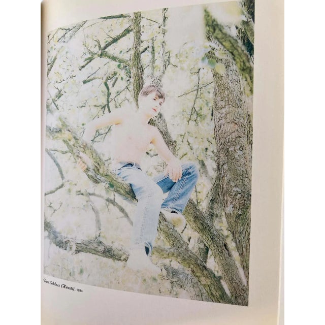 1990s La Belle et la Bête Un Choix de Jeunes Artistes Americains Art Gallery Book For Sale - Image 9 of 13