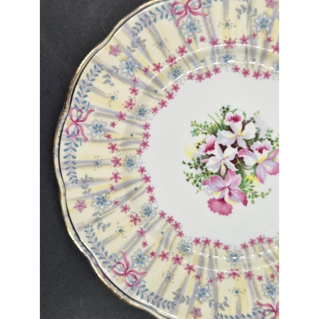 Vintage Queen Anne "Royal Bridal Gown" Duo- 1949 English Bone China- Dessert & Tea/Side Plate For Sale - Image 13 of 18