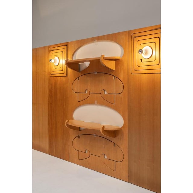 Modular Wall Unit by Anonima Design for Bonetto, Italy, 1969, Set of 9 For Sale - Image 6 of 14