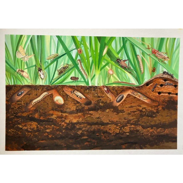 Original Ecotoxicology Illustration "Creepy Crawly Pop-Art" Circa 1981 Bugs Insects For Sale - Image 9 of 9