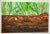 Original Ecotoxicology Illustration "Creepy Crawly Pop-Art" Circa 1981 Bugs Insects For Sale - Image 9 of 9