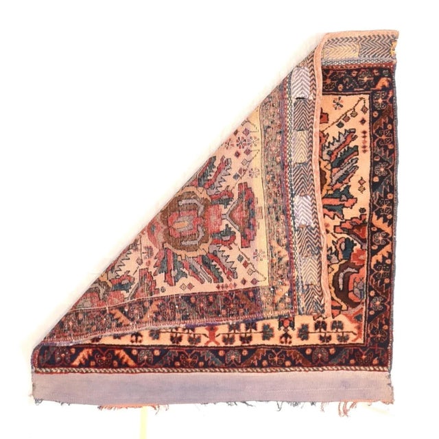 Saddlebags are always made in pairs and this attractive, boldly patterned piece shows two rows of giant ragged petal...