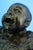 Pietro Ceccarelli, Bust of Newborn Baby First Cry, 1890s, Bronze and Marble For Sale - Image 16 of 18