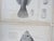 Mid 19th Century Us Pacifc Railroad Fish Lithograph Book Plates - Set of 4 For Sale In Seattle - Image 6 of 6