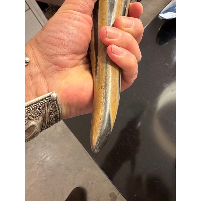 Horn and Bone Handheld Magnifying Glass For Sale - Image 4 of 8