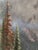 Vintage Thomas Kinkade Mountain Majesty " Beginning of a Perfect Day 3" Canvas Lithograph #14 For Sale - Image 11 of 12