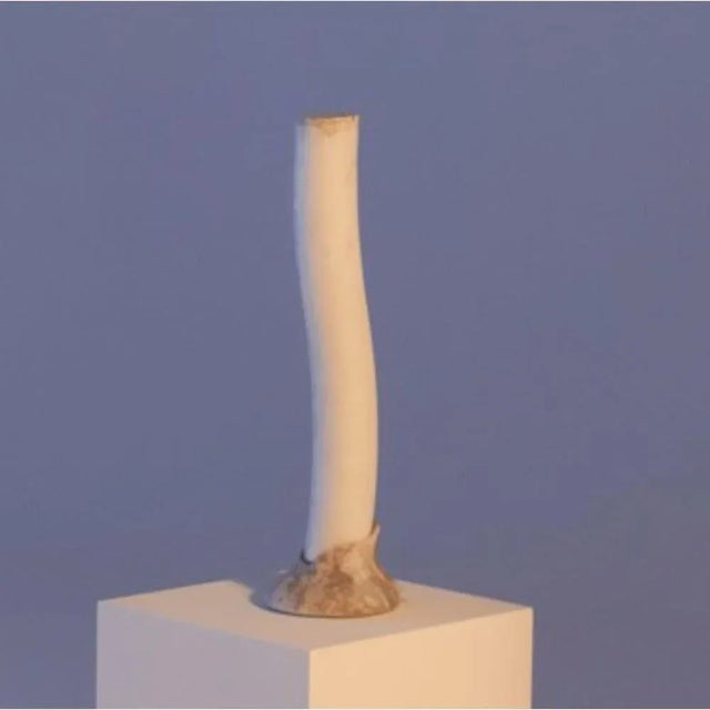 Lone Reef Lamp by Jacopo Simonetti For Sale - Image 6 of 7