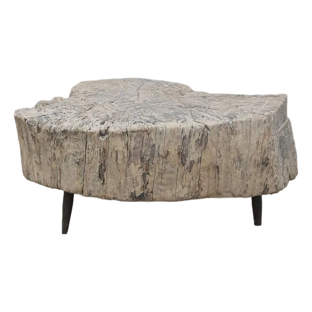 Rustic Elm Organic Slab Coffee Table on Iron Legs For Sale