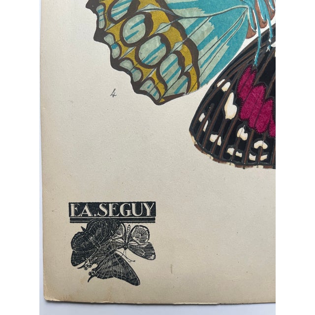 1920s Original E.A. Séguy Butterfly Print(s) From Papillons (No. 5) For Sale - Image 4 of 5