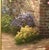 English Thomas Kinkade "The Rose Garden, " the Rose Collection, Framed Sp 57/120 For Sale - Image 3 of 10