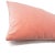 Contemporary Kate Spade Calmative in Persimmon Velvet Lumbar Pillow Cover For Sale - Image 3 of 6