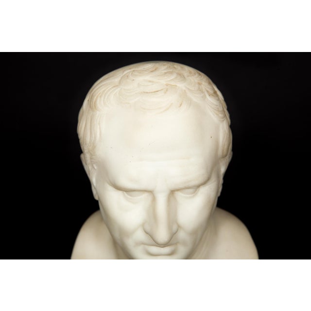 Stone Italian Grand Tour Antique Marble Bust of Marcus Cicero, 19th Century For Sale - Image 7 of 13